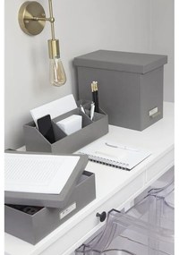 Karton rendszerező irodaszerekhez Elisa – Bigso Box of Sweden