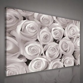 Faliképek Vászonkép virágok 100x75