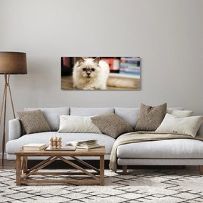 Fehér macska képe (120x50 cm)