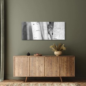 Kép - Farkas az erdőben (120x50 cm)