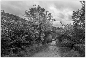 Poszterek 155x105 Őszi tájkép