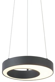 Modern fekete függőlámpa 35 cm 3 lépésben dimmelhető - Organici