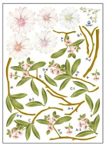 Flowering Magnolia falmatrica szett - Ambiance