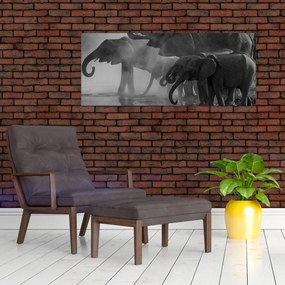 Elefánt képe - fekete fehér (120x50 cm)