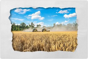 Poszterek 60x40 Két fűnyíró kombájn