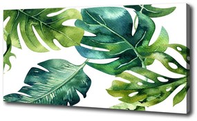 Fali vászonkép Trópusi levelek oc-148345953