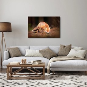 Kép - Róka az erdőben (90x60 cm)