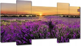 Vászonkép 120x65 Levendula Naplemente