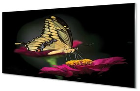 Üvegképek Pillangó a virágon 100x50 cm