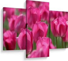 Kép - Rózsaszín tulipánok (90x60 cm)