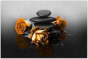 Poszterek 120x80 Narancssárga rózsa Spa