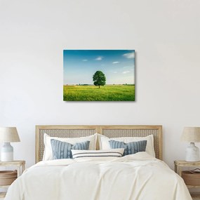 Egy fa képe egy rét közepén (70x50 cm)