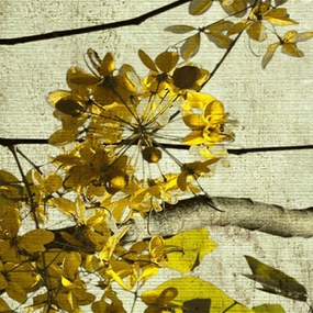 Gario Paraván Virágzó ág Méret: 180 x 170 cm, Kivitelezés: Klasszikus paraván