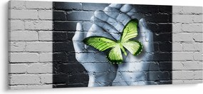 Kép - Zöld pillangó a falon (120x50 cm)