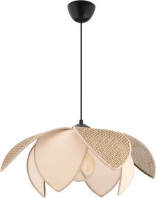 Peony Hazeran Peach - Brown