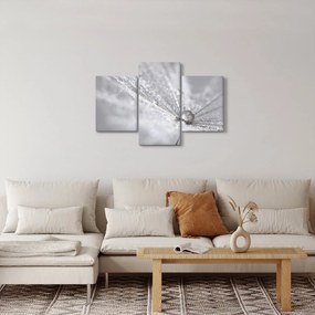 Kép - Egy csepp víz (90x60 cm)