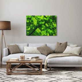 Kép - A lap részlete (90x60 cm)