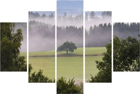 Egy kép a rétről egy fával (150x105 cm)