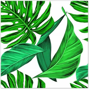 Poszterek 70x70 Zamatos Monstera Trópusok