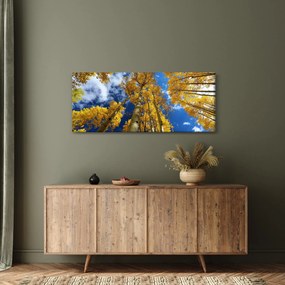 Kép - Aspen (120x50 cm)