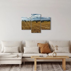 Betakarított gabona mező képe (90x60 cm)