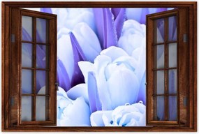 Poszterek 120x80 Kék tulipánok