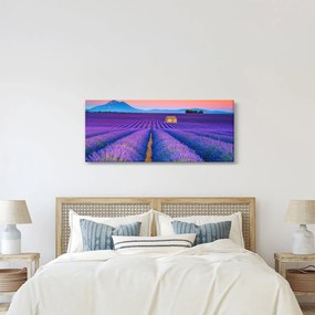 Kép - Levendula mező (120x50 cm)