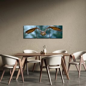 Kép - Bagoly repülés közben (órával) (90x30 cm)
