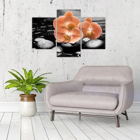 Kép - Narancssárga orchideák (90x60 cm)