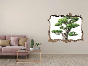 3d lyuk fal dekoráció Bonsai fa nd-k-88907159
