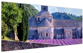Kép - Levendula mező (120x50 cm)