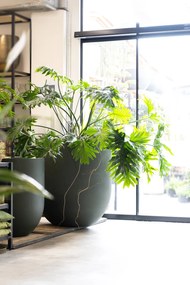 Pottery Pots Jumbo Lex virágcserép, fenyőzöld színű, több méretben - PotteryPots méret: H - ø 114 cm | m. 125,5 cm