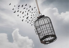 Fotótapéta Flizelin Dekoratív tapéta Repülő madarak 312x219 Ragasztó