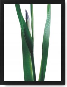 Zöld levelek bimbó kép keret A3 zöld dekoráció #42