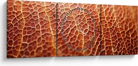 Kép - Textúra részlet (órával) (90x30 cm)