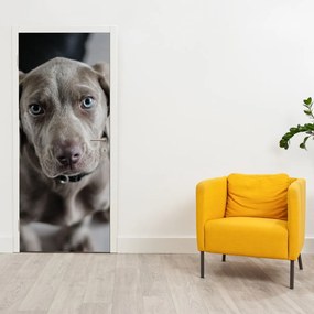 Fotótapéta ajtóra - Kölyökkutya (95x205cm)