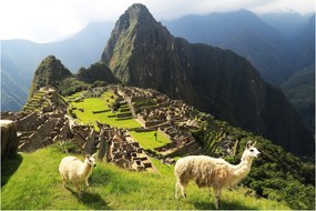 Kép - Machu Picchu (90x60 cm)