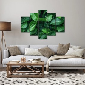 Kép - Zöld levelek (150x105 cm)