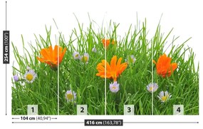 Fotótapéta Easter virágok 104x70 cm