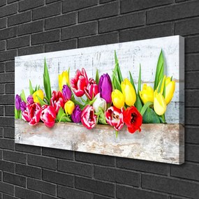 Canvas kép Tulipán virágok természet 125x50 cm