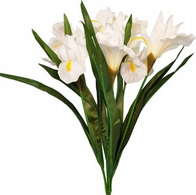 Krémszínű íriszcsokor Elegancia minden részletében