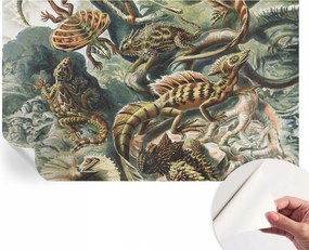 Öntapadós fali fotótapéta Hálószobába Egzotikus hüllők 416x254 cm