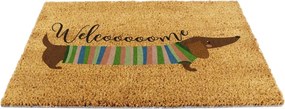 Kókuszrost lábtörlő 40x60 cm Welcome Sausage Dog – Artsy Doormats