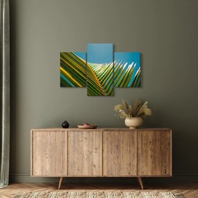 Kép - A pálmalevél részlete (90x60 cm)