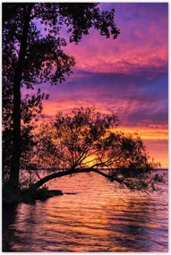 Poszterek 80x120 Tó Fa Nyugat