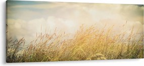 Kép - Mező ősszel (120x50 cm)