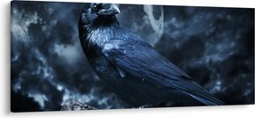 Kép - Holló (120x50 cm)