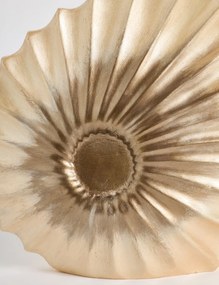Seashell