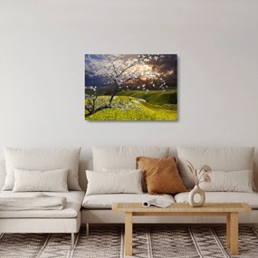 Kép - Virágzó fa az országban (üvegen) (70x50 cm)