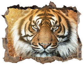 Fali matrica lyuk a falban Bengáli tigris nd-k-116603957
